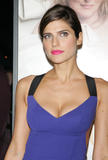 th_38466_celebrity-paradise.com-The_Elder-Lake_Bell_2009-12-09_-_NY_Premiere_Of_Its_Complicated_138_122_499lo.jpg