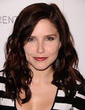 th_92790_sophia_bush_1_tikipeter_celebritycity_002_123_58lo.jpg