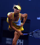 http://img181.imagevenue.com/loc356/th_49881_Maria_Sharapova_RUS_8841_123_356lo.jpg