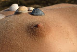 Anuetta - Bodyscape: Cockle Shells-n38k5o6mxy.jpg