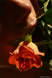 Nata in Bodyscape: Love is a Rose-h4lq8v87wv.jpg